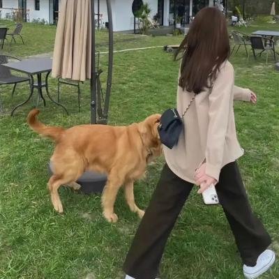 暗之伴走者